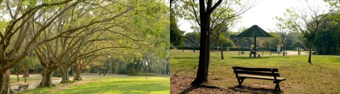 Jardim Botânico Londrina